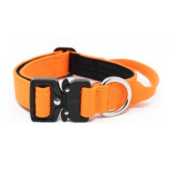 2.5cm Combat Dog Collar - Orange v2.0