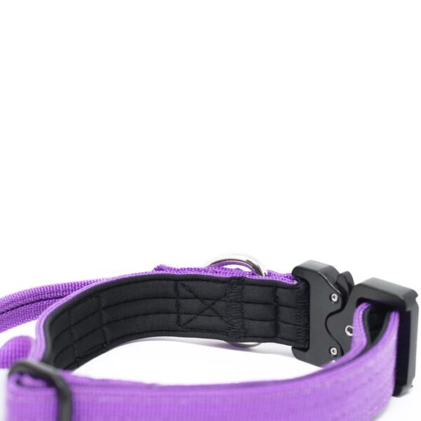 2.5cm Combat Dog Collar - Purple v2.0