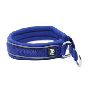 3cm RR - Blue Dog Collar