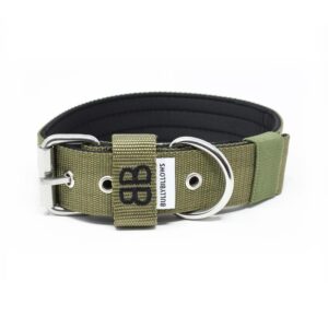 4cm Nylon Dog Collar - Khaki v2.0