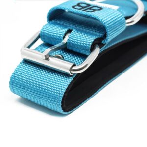 4cm Nylon Dog Collar - Light Blue v2.0