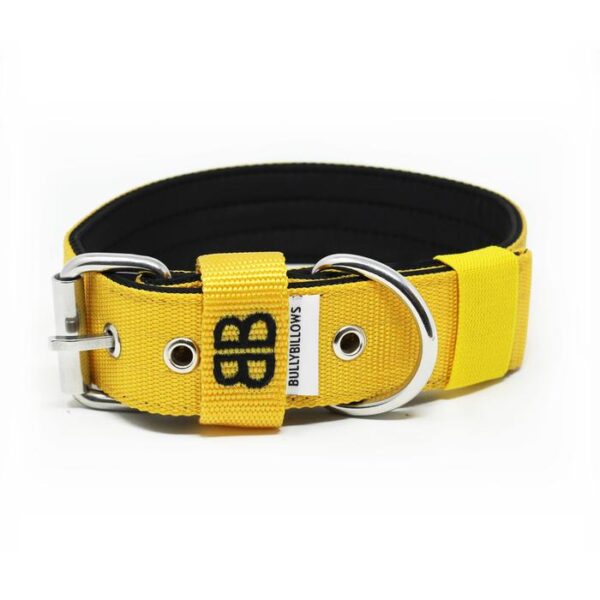 4cm Nylon Dog Collar - Mustard Yellow v2.0