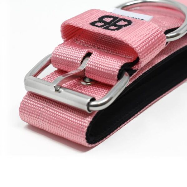 4cm Nylon Dog Collar - Pink v2.0