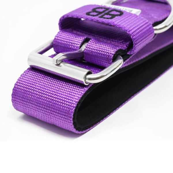 4cm Nylon Dog Collar - Purple v2.0