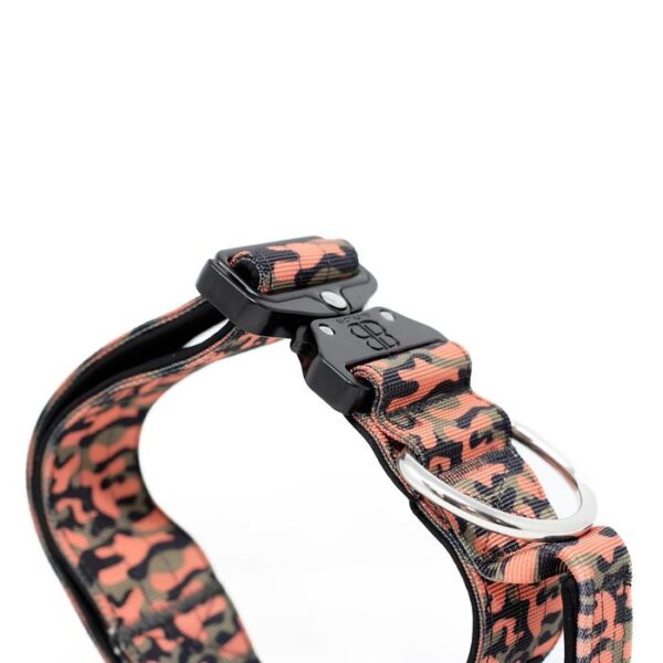 5cm Combat Dog Collar - Orange Camo v2.0
