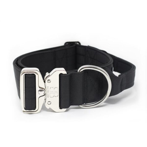 5cm Combat Dog Collar - PLATINUM - Black v2.0