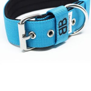 5cm Nylon Dog Collar - Light Blue v2.0