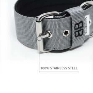 5cm Nylon Dog Collar - Metal Grey v2.0