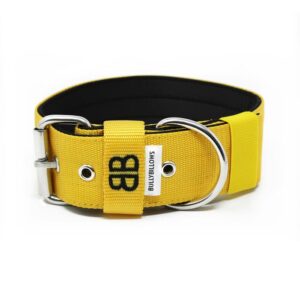 5cm Nylon Dog Collar - Mustard Yellow v2.0