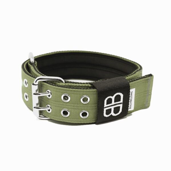 5cm Sporting Dog Collar - NO HANDLE - Khaki