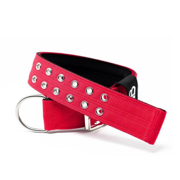 5cm Sporting Dog Collar - NO HANDLE - Red