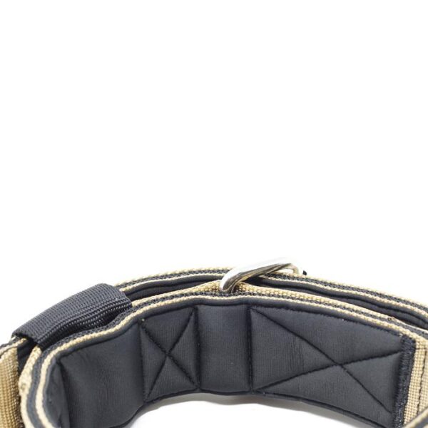5cm Sporting Dog Collar - NO Handle - Military Tan
