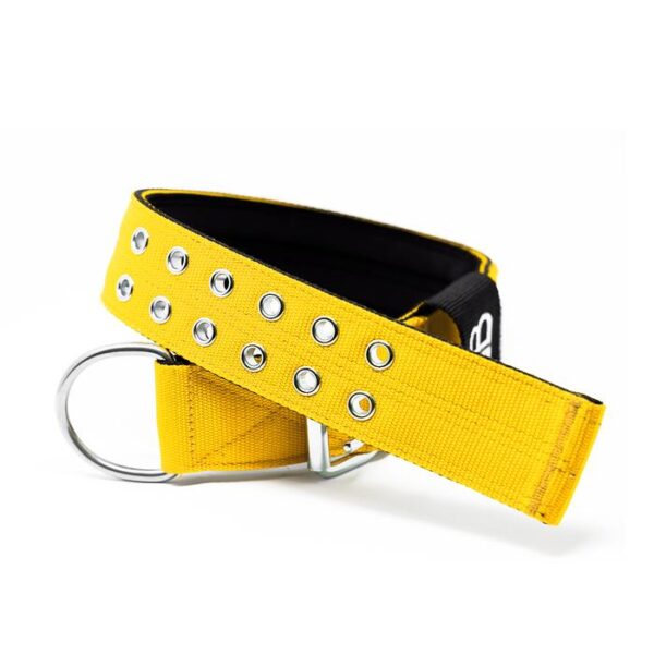 5cm Sporting Dog Collar - NO Handle - Mustard Yellow